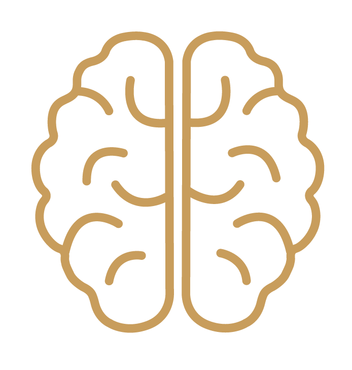 2026_18_05_Baaklini_B3_Symbols_Brain